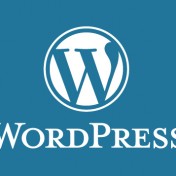 Wordpress-start-image[1]